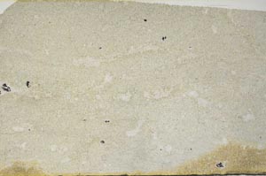 Plane Polarized, S59444