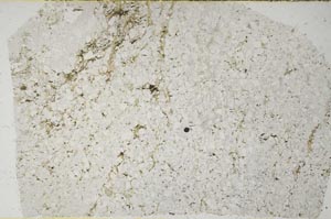 Plane Polarized, S59446