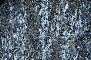 Cross Polarized, S59454