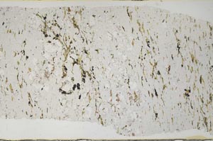 Plane Polarized, S59455