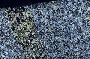 Cross Polarized, S59461