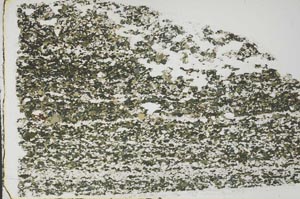 Plane Polarized, S59462