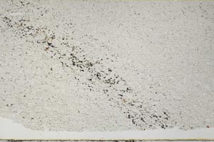 Plane Polarized, S59463