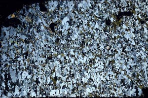 Cross Polarized, S59474