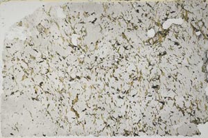 Plane Polarized, S59474