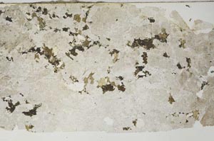 Plane Polarized, S59475