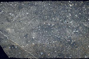 Cross Polarized, S59527