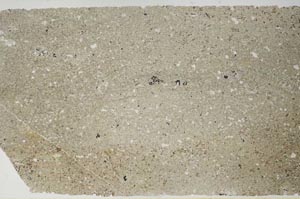 Plane Polarized, S59527
