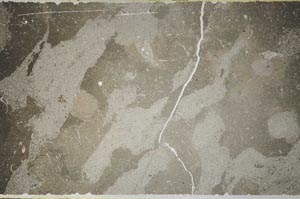Plane Polarized, S59537