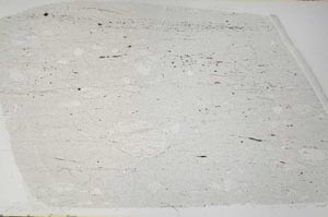 Plane Polarized, S59540