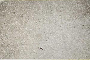 Plane Polarized, S59545