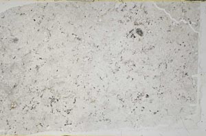 Plane Polarized, S59546