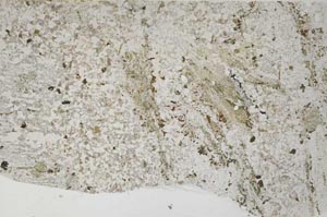 Plane Polarized, S59553