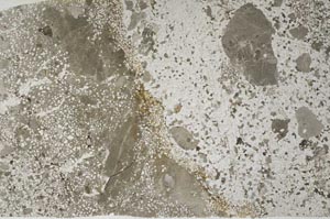 Plane Polarized, S59556