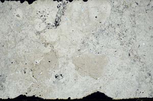 Cross Polarized, S59560