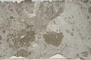 Plane Polarized, S59560
