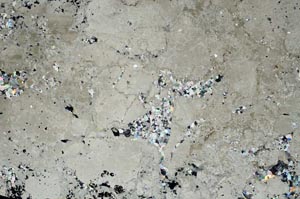 Cross Polarized, S59561