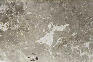 Plane Polarized, S59561