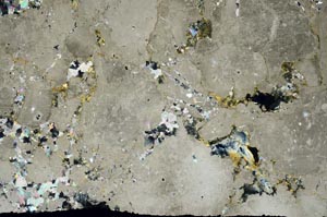 Cross Polarized, S59562