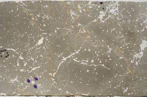 Plane Polarized, S59563