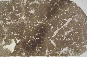 Plane Polarized, S59563/A