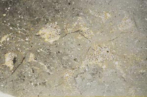 Plane Polarized, S59569