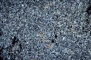 Cross Polarized, S59570