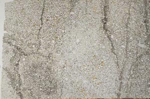 Plane Polarized, S59571