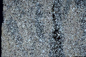 Cross Polarized, S59572