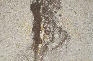 Plane Polarized, S59573