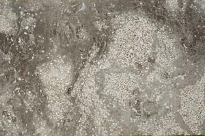 Plane Polarized, S59578