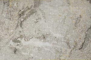 Plane Polarized, S59579