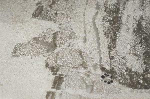 Plane Polarized, S59580