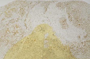 Plane Polarized, S59582