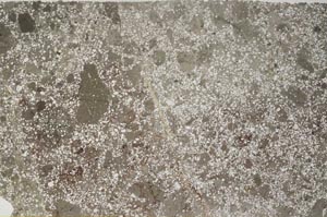 Plane Polarized, S59585
