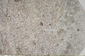 Plane Polarized, S59585/A