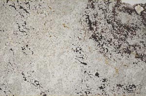 Plane Polarized, S59589