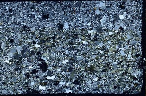 Cross Polarized, S59593