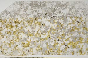 Plane Polarized, S59595