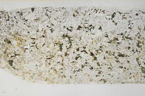 Plane Polarized, S59599