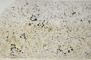 Plane Polarized, S59601