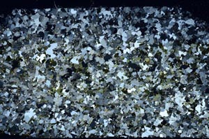 Cross Polarized, S59606/A
