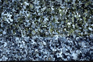 Cross Polarized, S59607/A