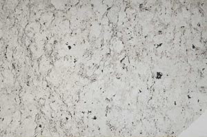 Plane Polarized, S59614