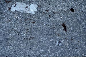 Cross Polarized, S59631