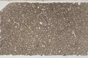 Plane Polarized, S59703