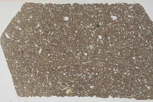 Plane Polarized, S59703/A