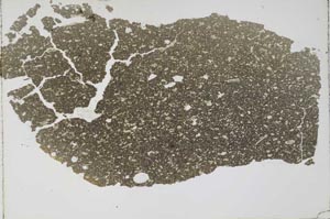 Plane Polarized, S59705