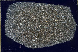 Cross Polarized, S59705/A