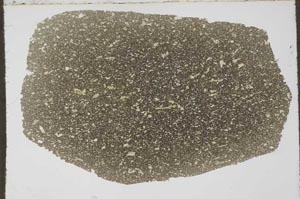 Plane Polarized, S59705/A